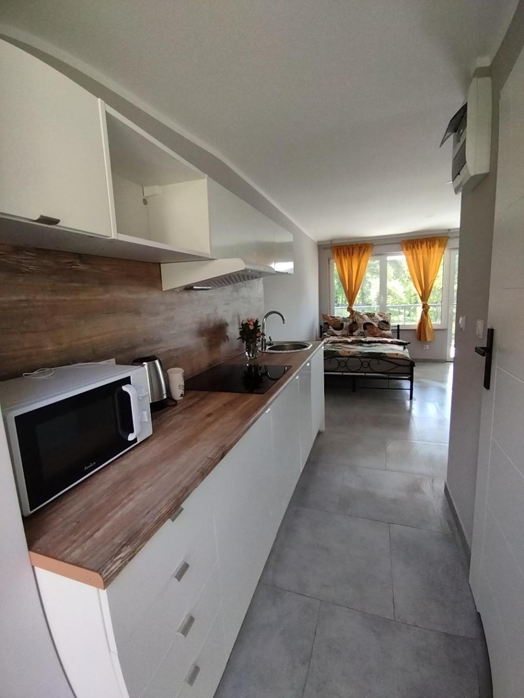 Apartment Przy Jeziorze